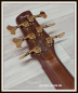Preview: Ibanez Prestige Series SR5506, Mocha Flat